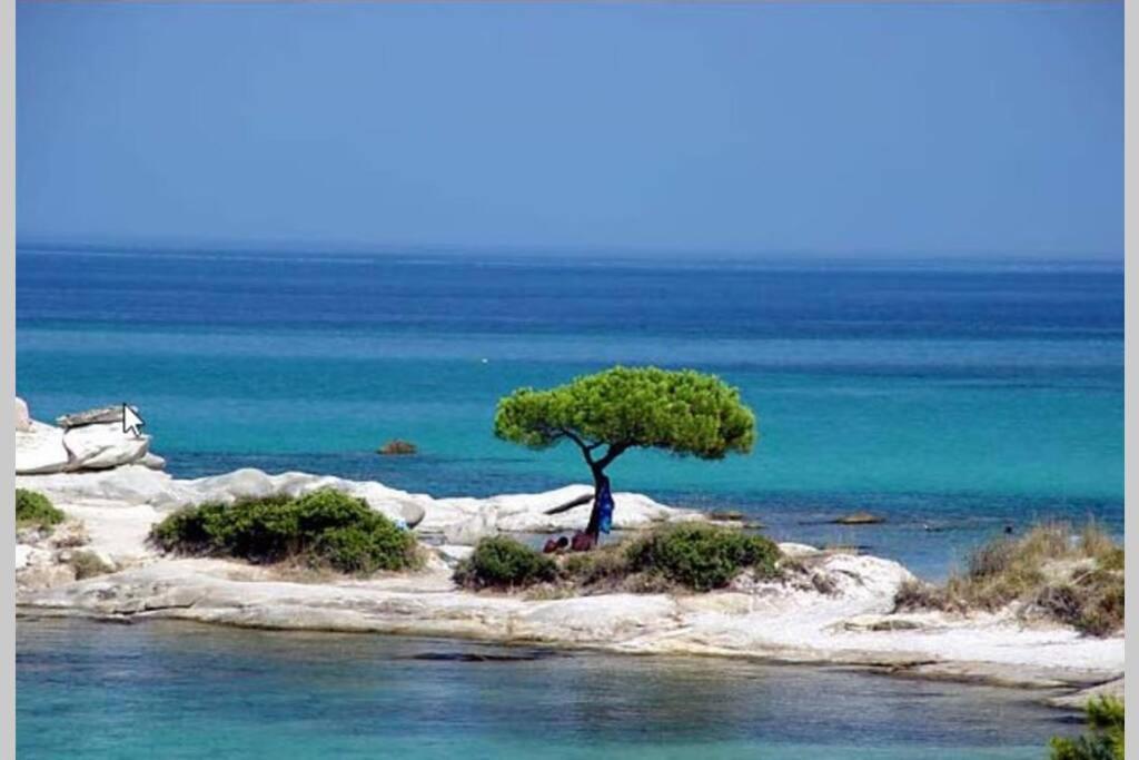 Nefolia Villa Vourvourou Exteriör bild